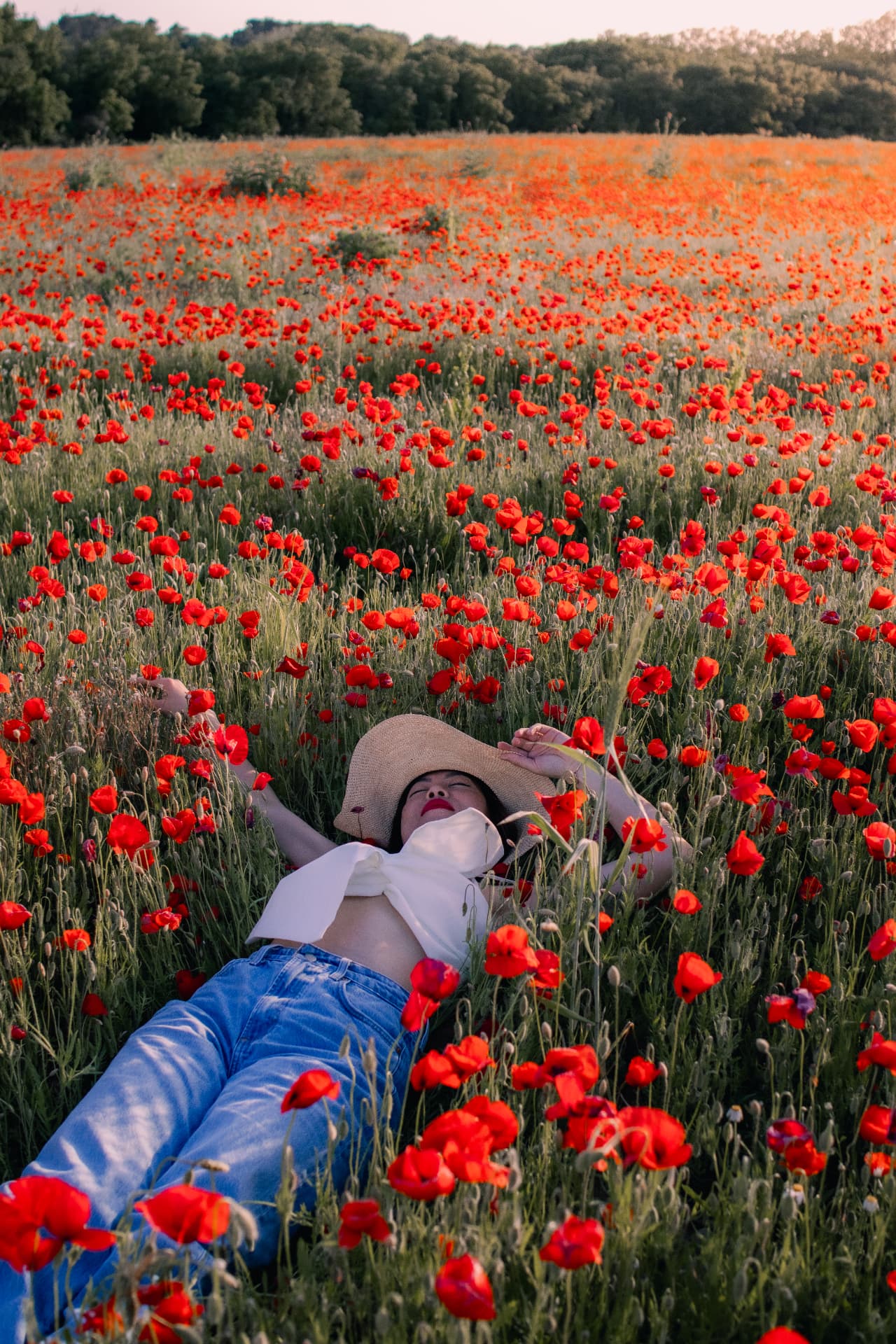 Femme allongée au chapeau de paille dans un champ de coquelicots en Provence