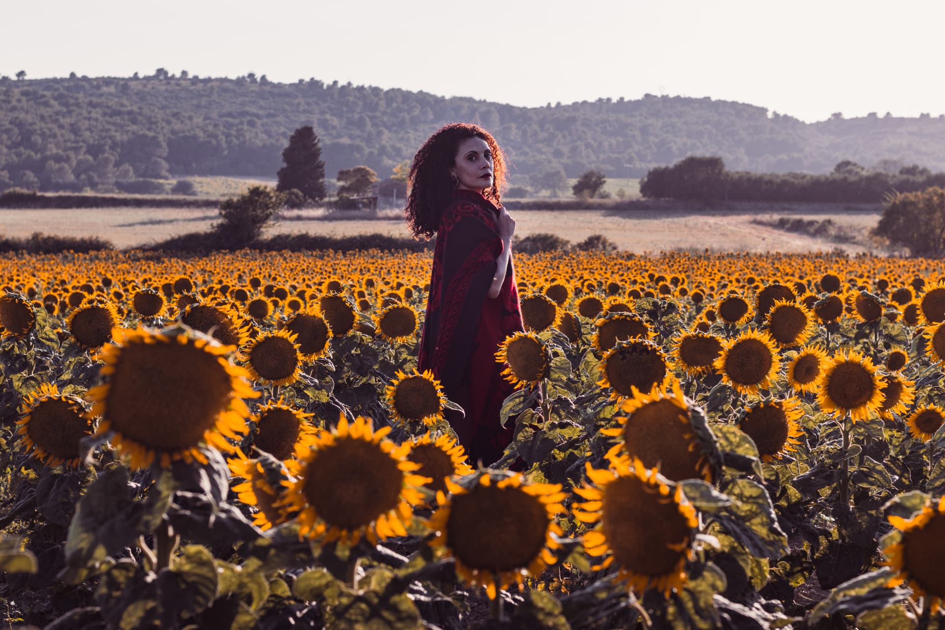 Femme dans un champ de tournesols au lever du soleil — Provence