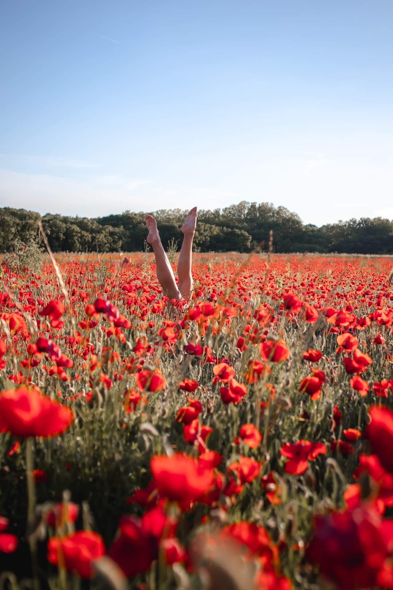 Jambes levées au milieu d'un champ de coquelicots en Provence