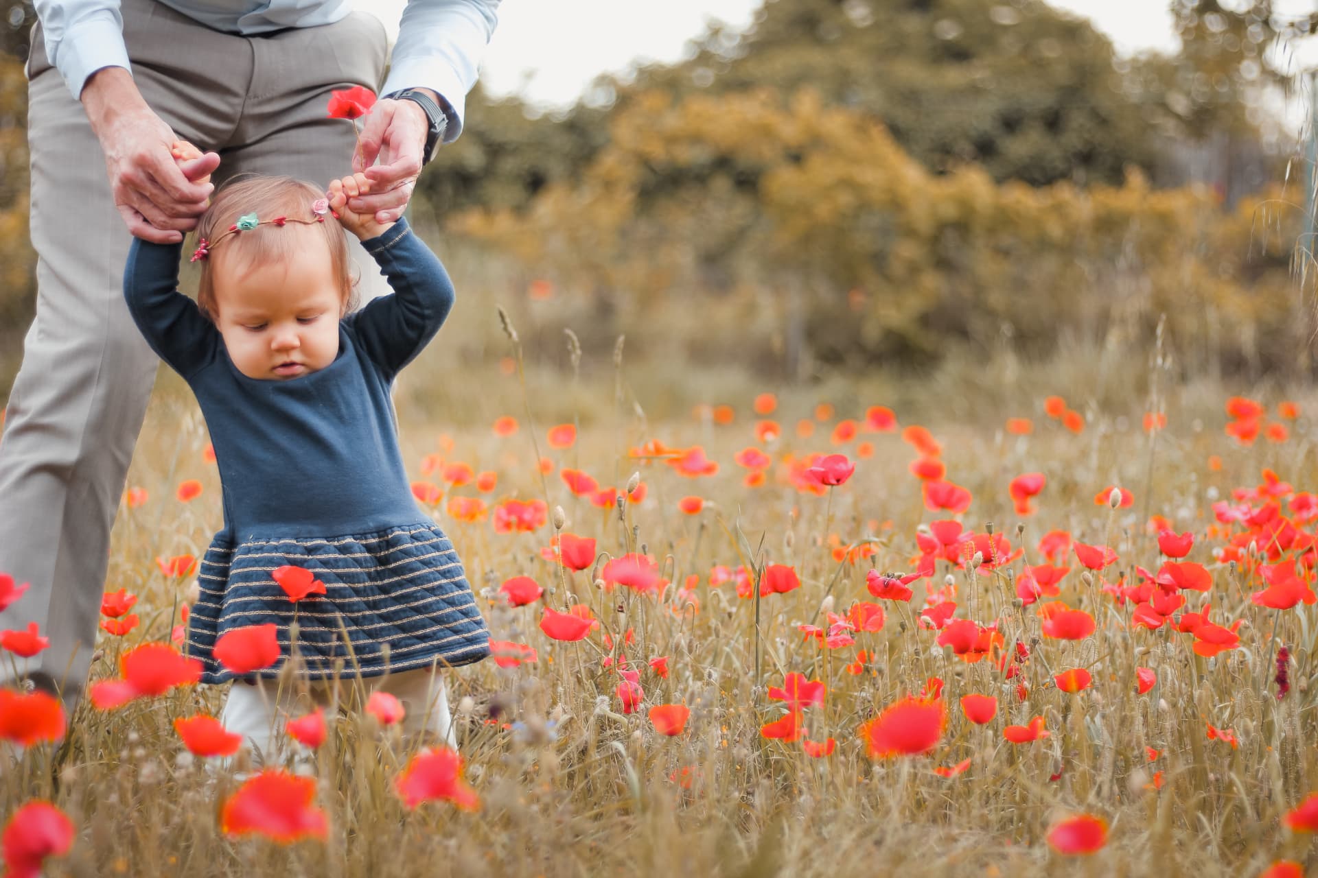 Premiers pas d'un bébé tenu par son papa dans un champ de coquelicots en Provence