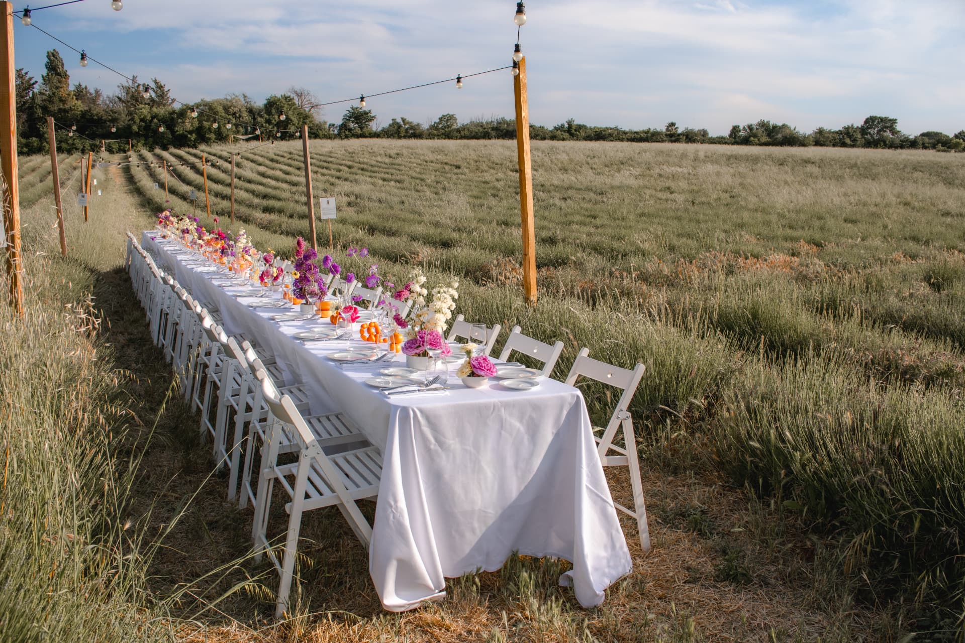 Dîner d'entreprise dans un champ de lavande, Provence