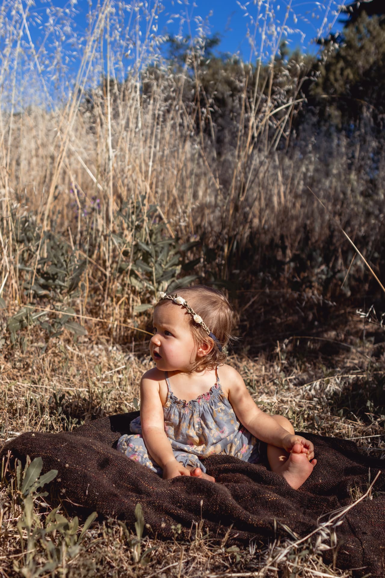 Petite fille assise dans les herbes dorées, séance famille en Provence